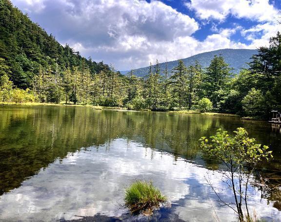 こんにちは｜写メ日記｜なお｜渋谷 人妻デリヘル 出会い系　人妻ネットワーク　渋谷～目黒編