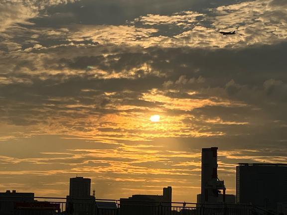 本日参加です｜写メ日記｜なお｜渋谷 人妻デリヘル 出会い系　人妻ネットワーク　渋谷～目黒編