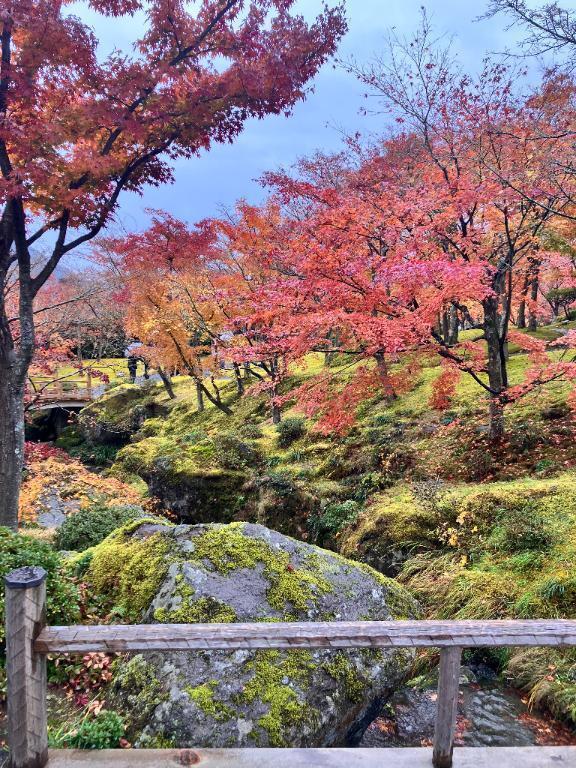 本日参加してます|写メ日記|なお|渋谷 人妻デリヘル 出会い系 人妻ネットワーク 渋谷~目黒編