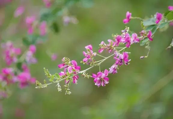 おはようございます。｜写メ日記｜ゆか｜渋谷 人妻デリヘル 出会い系　人妻ネットワーク　渋谷～目黒編