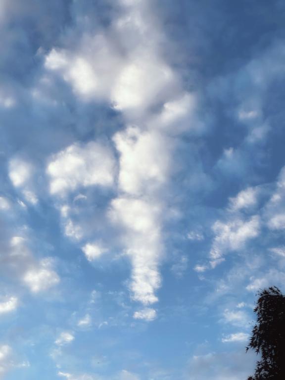 ジワジワ｜写メ日記｜ゆう｜渋谷 人妻デリヘル 出会い系　人妻ネットワーク　渋谷～目黒編