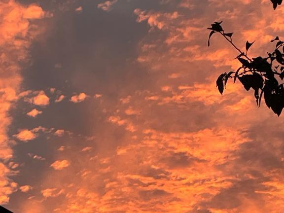 急遽、明日参加します✨