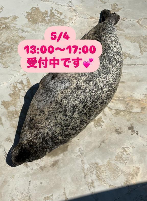 5/4 参加予定｜写メ日記｜美樹｜渋谷 人妻デリヘル 出会い系　人妻ネットワーク　渋谷～目黒編