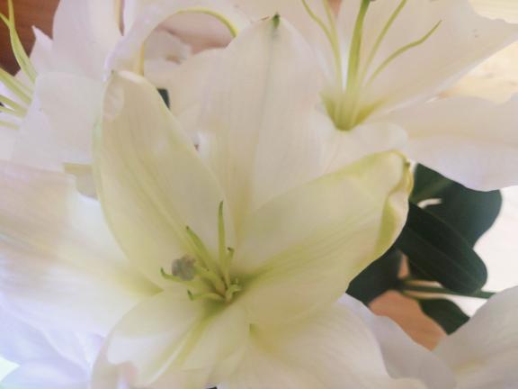 日記をみてくださりありがとうございます｜写メ日記｜友梨香｜渋谷 人妻デリヘル 出会い系　人妻ネットワーク　渋谷～目黒編