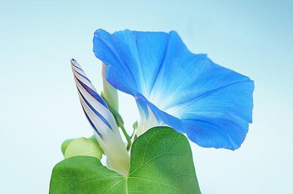 嬉しい再会｜写メ日記｜結花｜渋谷 人妻デリヘル 出会い系　人妻ネットワーク　渋谷～目黒編