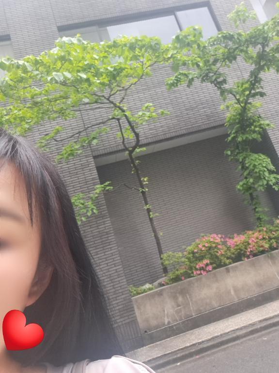 おはようございます🌱｜写メ日記｜瑞希｜渋谷 人妻デリヘル 出会い系　人妻ネットワーク　渋谷～目黒編