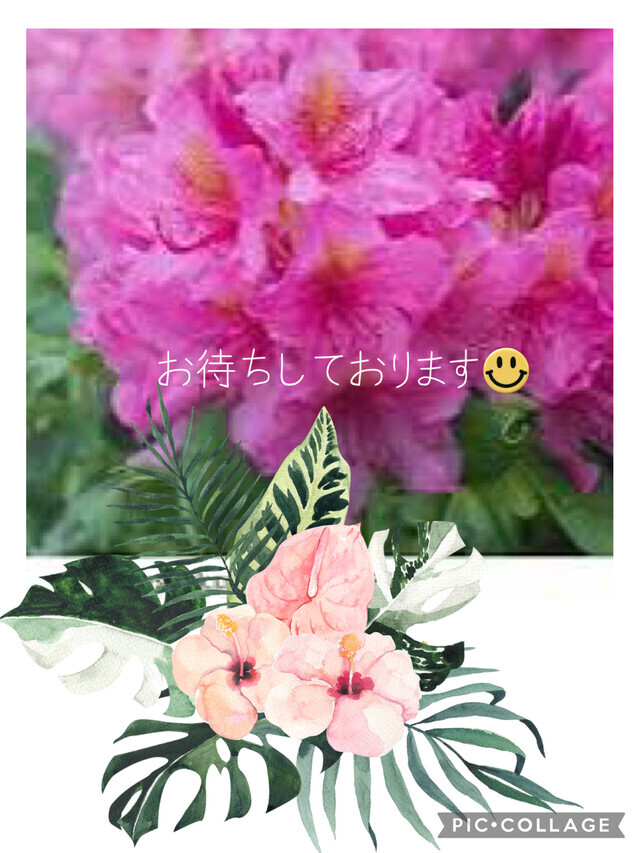 明日参加致します🌷｜写メ日記｜美麗｜渋谷 人妻デリヘル 出会い系　人妻ネットワーク　渋谷～目黒編