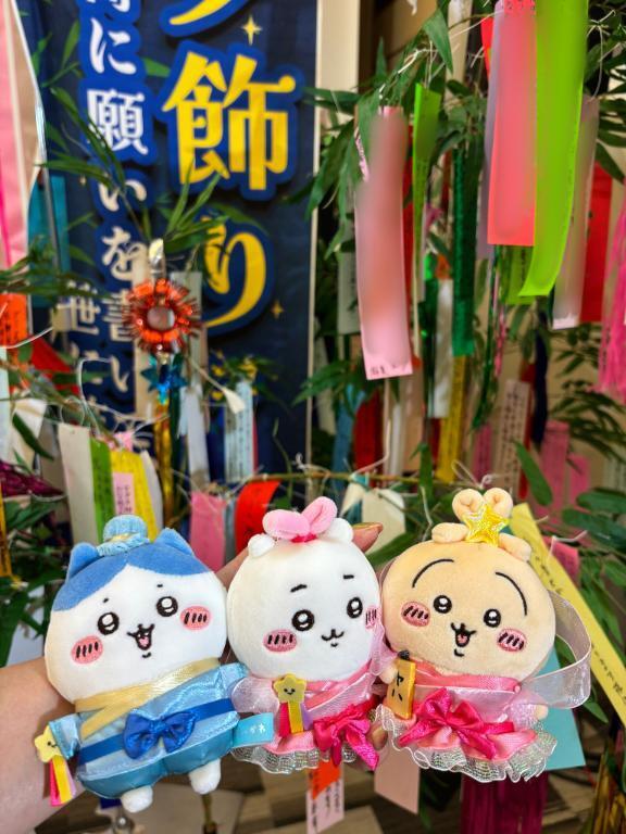 七夕｜写メ日記｜白木｜鶯谷 人妻デリヘル 鶯谷人妻城
