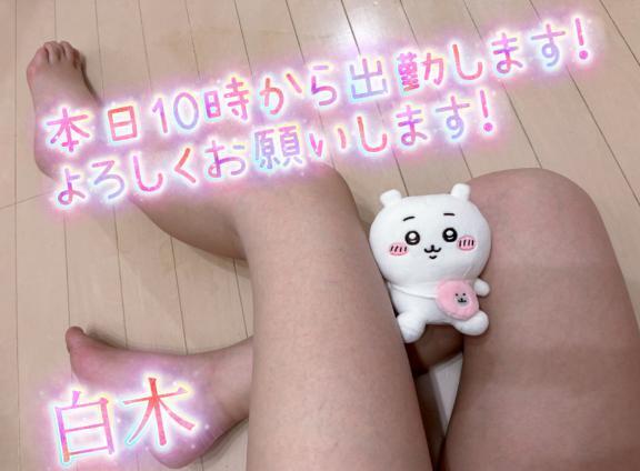本日出勤します！｜写メ日記｜白木｜鶯谷 人妻デリヘル 鶯谷人妻城