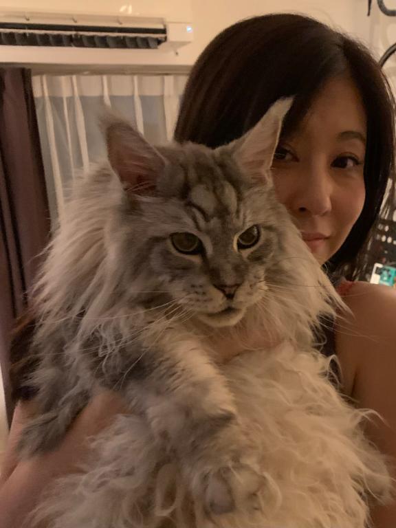 秋月です｜写メ日記｜秋月｜鶯谷 人妻デリヘル 鶯谷人妻城