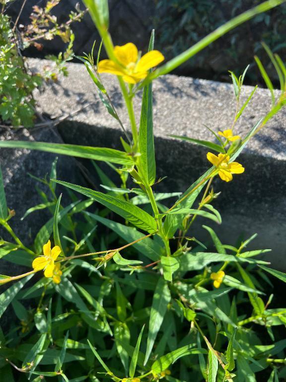 早く外に出たい