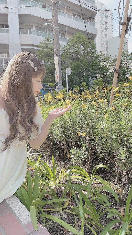 今週はノーパンDAY