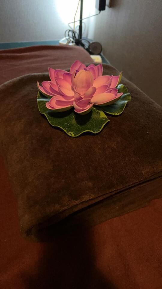 鶯谷散歩｜写メ日記｜谷｜鶯谷 人妻デリヘル 鶯谷人妻城