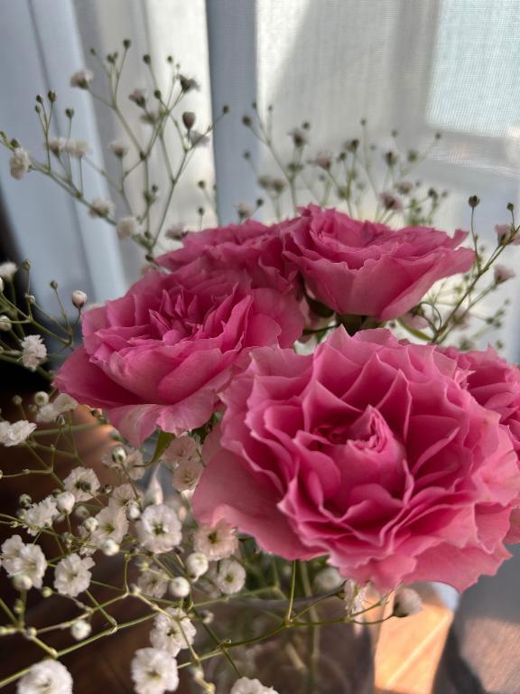 うららか｜写メ日記｜谷｜鶯谷 人妻デリヘル 鶯谷人妻城