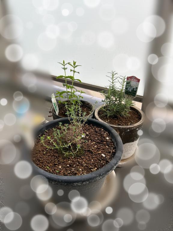 谷との時間🥰｜写メ日記｜谷｜鶯谷 人妻デリヘル 鶯谷人妻城