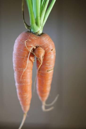 まじさなんで？｜写メ日記｜藤井｜鶯谷 人妻デリヘル 鶯谷人妻城