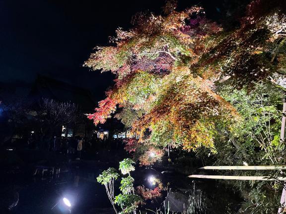 復活｜写メ日記｜今田｜鶯谷 人妻デリヘル 鶯谷人妻城