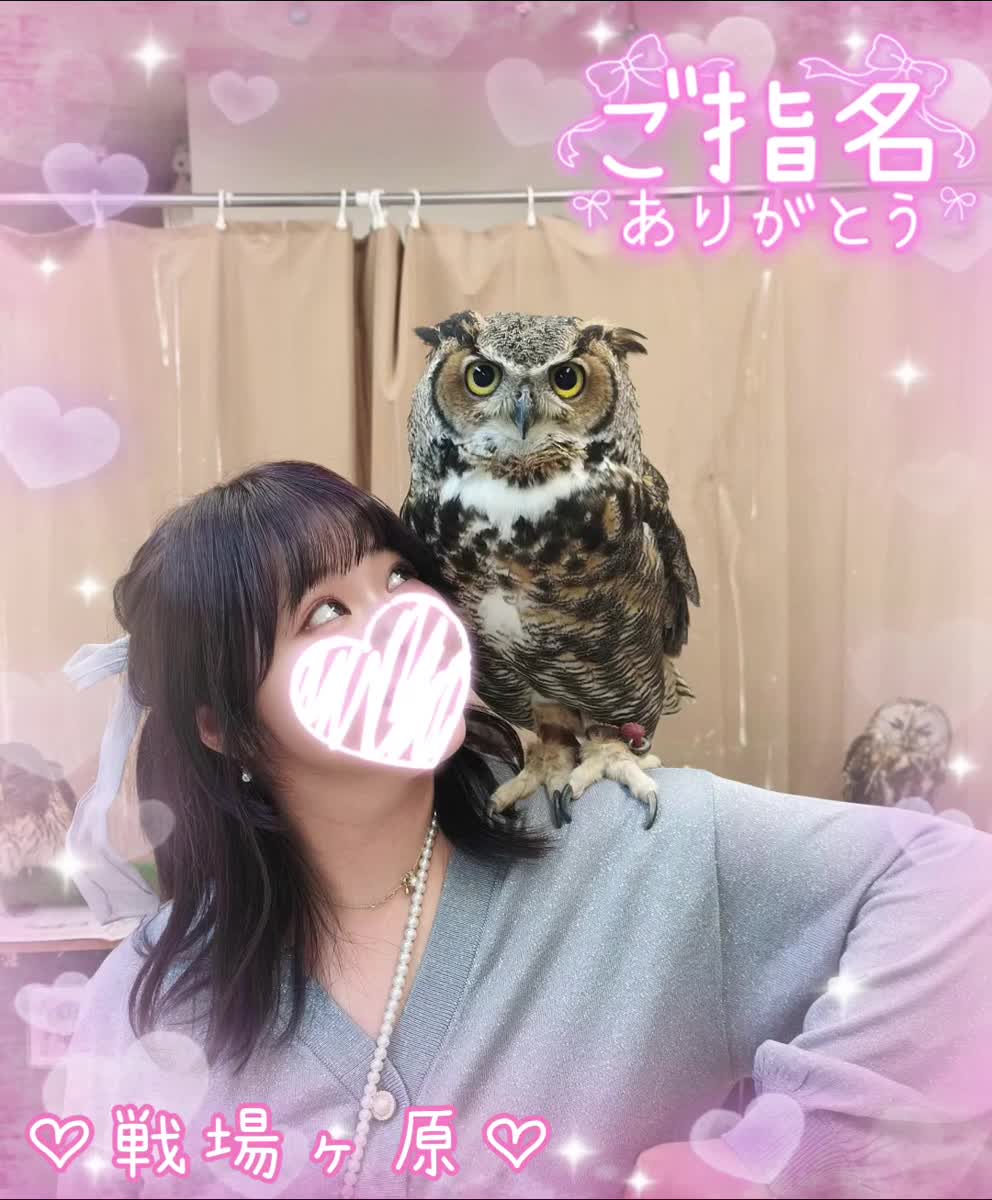 【K様へ】姫予約ありがとうございます🫶✨｜写メ日記｜戦場ヶ原｜鶯谷 人妻デリヘル 鶯谷人妻城