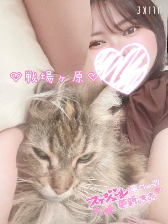 🎙️急なお休みごめんなさい🙇🏻‍♀️｜写メ日記｜戦場ヶ原｜鶯谷 人妻デリヘル 鶯谷人妻城