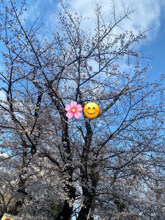 どうなった！？