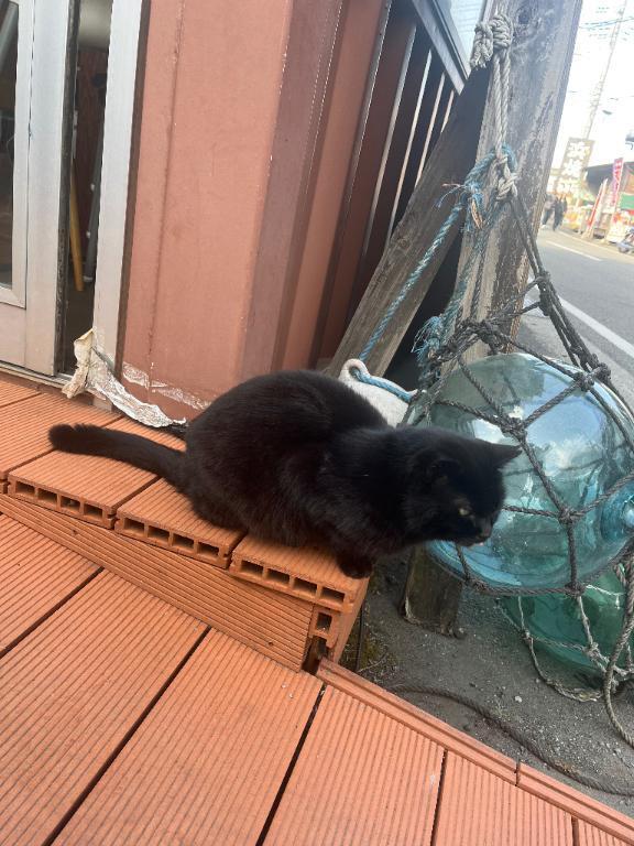 お休み｜写メ日記｜涼野｜鶯谷 人妻デリヘル 鶯谷人妻城