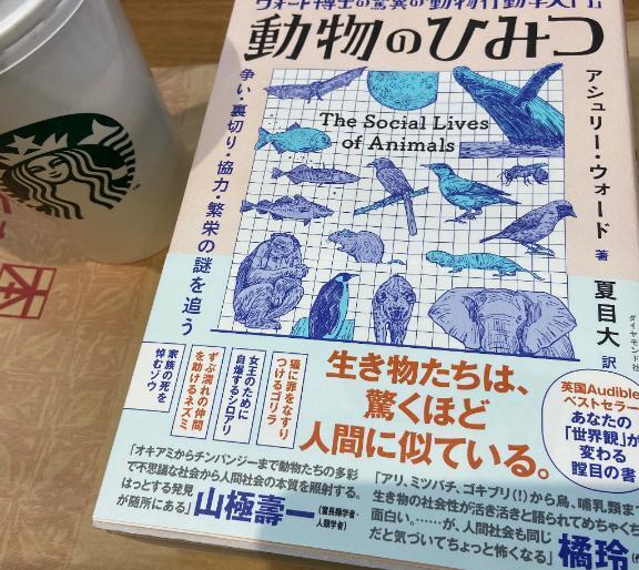 2026.04.15｜写メ日記｜篠田｜鶯谷 人妻デリヘル 鶯谷人妻城