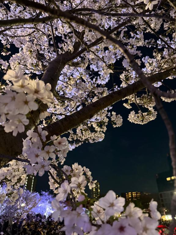 明日から｜写メ日記｜遠山｜鶯谷 人妻デリヘル 鶯谷人妻城