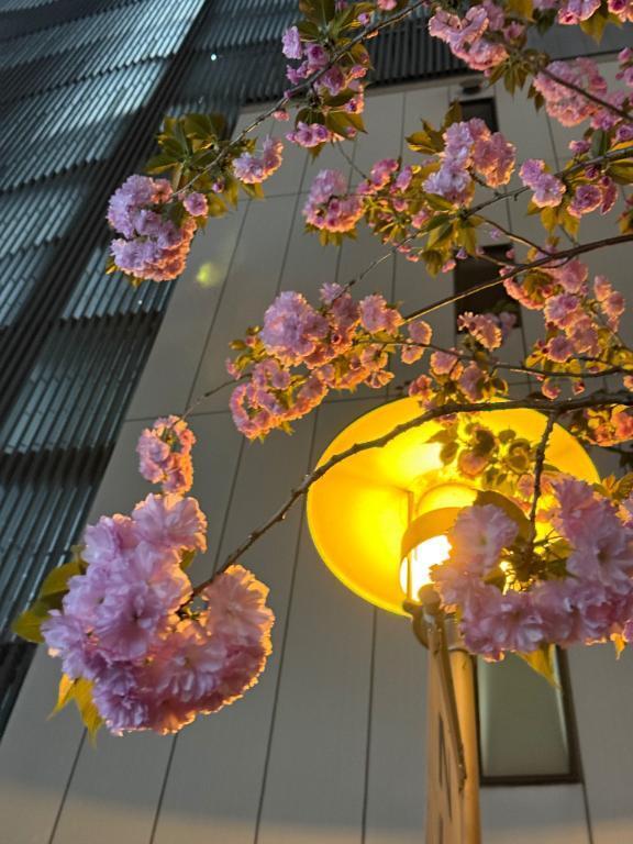 【お礼写メ日記】｜写メ日記｜遠山｜鶯谷 人妻デリヘル 鶯谷人妻城