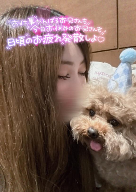 【急遽だけど、会いたくなっちゃった︎︎】｜写メ日記｜叶瀬｜鶯谷 人妻デリヘル 鶯谷人妻城