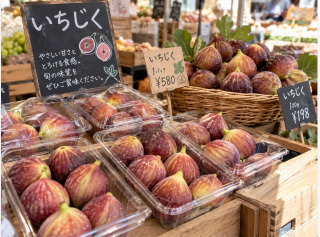 [お題]from:しろさん｜写メ日記｜周防｜鶯谷 人妻デリヘル 鶯谷人妻城