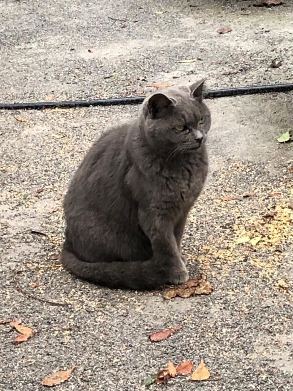 かわいぃ...｜写メ日記｜小波｜鶯谷 人妻デリヘル 鶯谷人妻城
