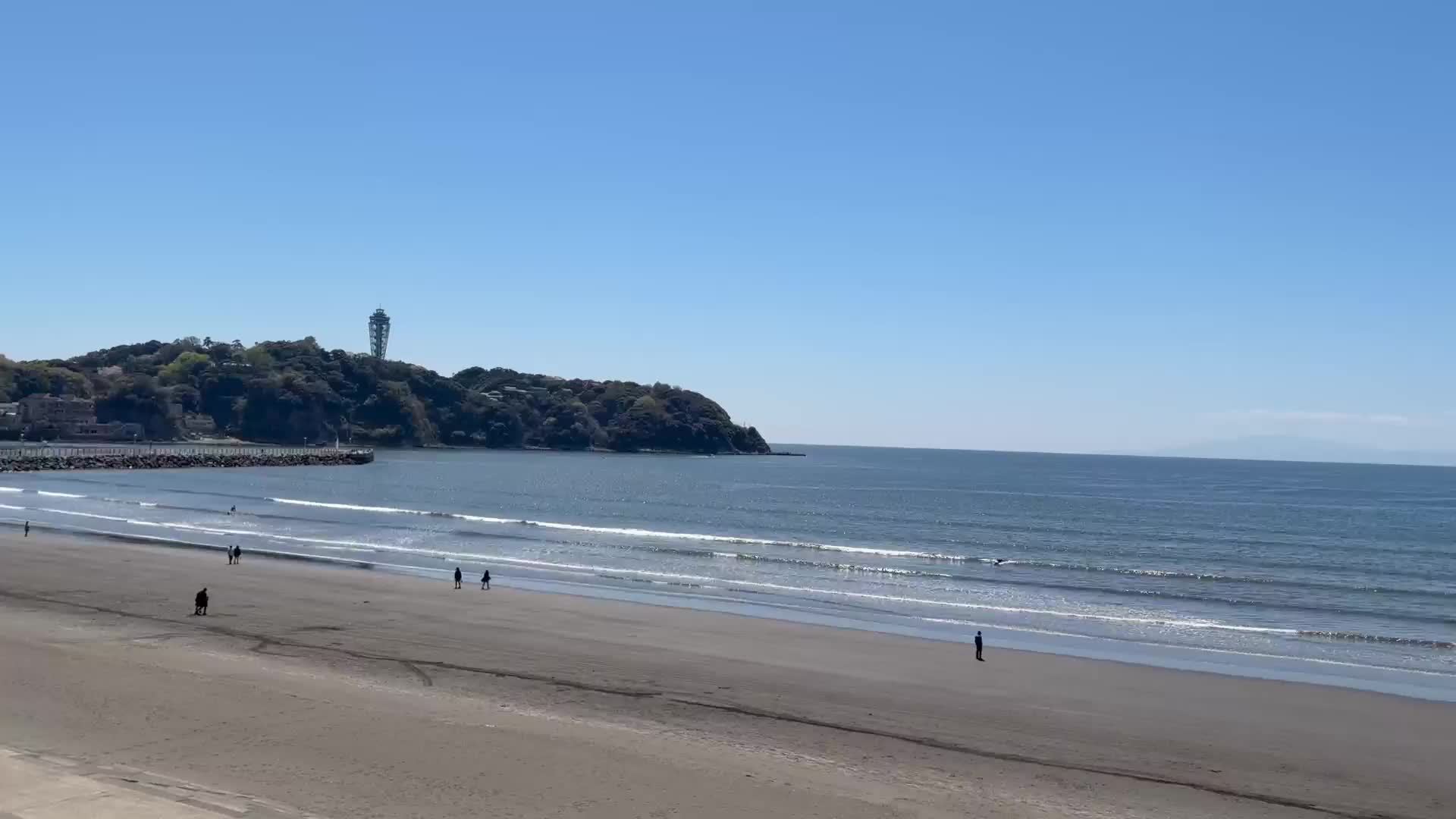 江ノ島水族館｜写メ日記｜美山｜鶯谷 人妻デリヘル 鶯谷人妻城