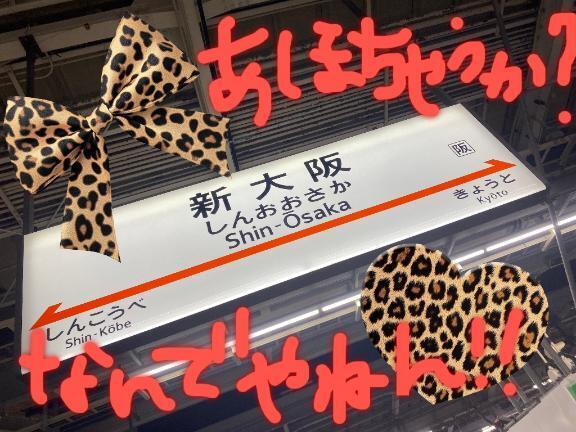 帰りました