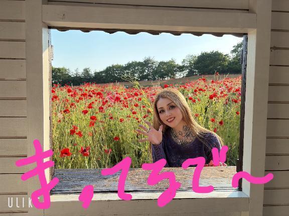 ラストチャーーンス‼️｜写メ日記｜美山｜鶯谷 人妻デリヘル 鶯谷人妻城