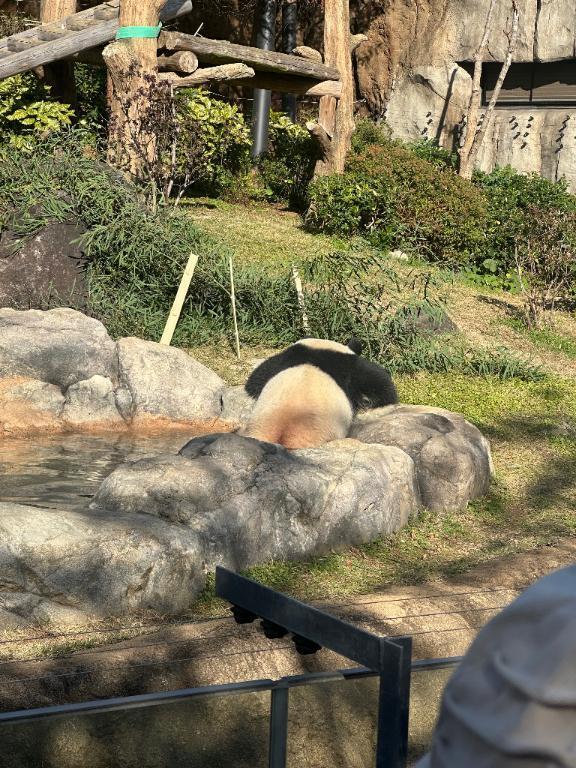 お久しぶりです｜写メ日記｜宮沢｜鶯谷 人妻デリヘル 鶯谷人妻城