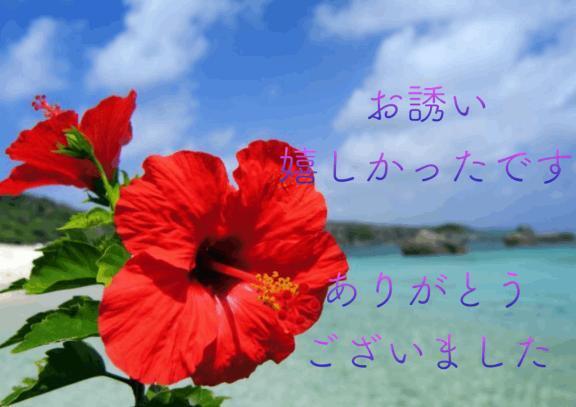 7日のお礼｜写メ日記｜香取｜鶯谷 人妻デリヘル 鶯谷人妻城