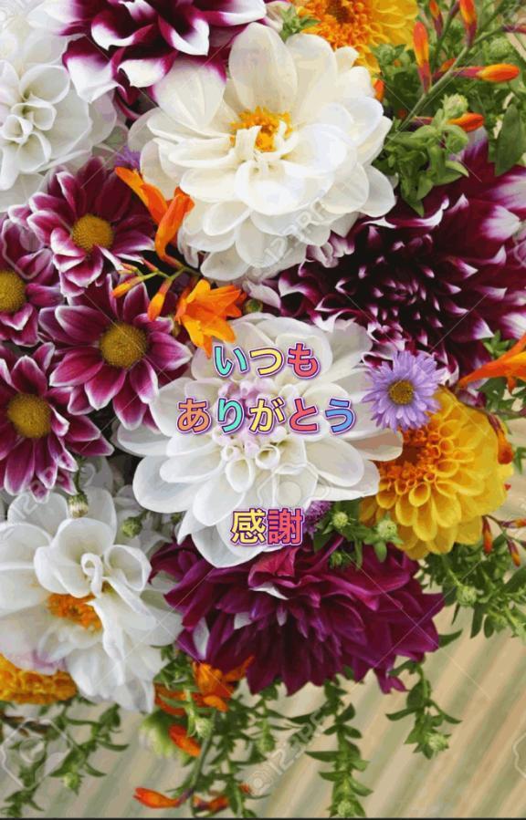 28日の御礼｜写メ日記｜香取｜鶯谷 人妻デリヘル 鶯谷人妻城