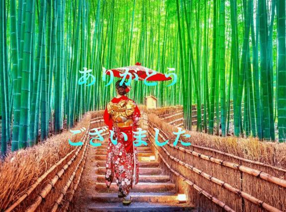 28日の御礼｜写メ日記｜香取｜鶯谷 人妻デリヘル 鶯谷人妻城