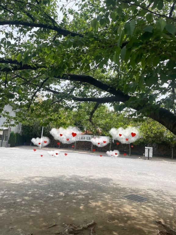 穏やかな晴れ間の休日｜写メ日記｜香取｜鶯谷 人妻デリヘル 鶯谷人妻城