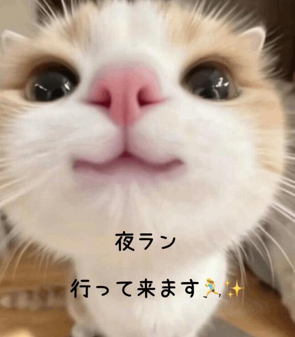 久しぶりに走って来ます🏃‍♀️💨