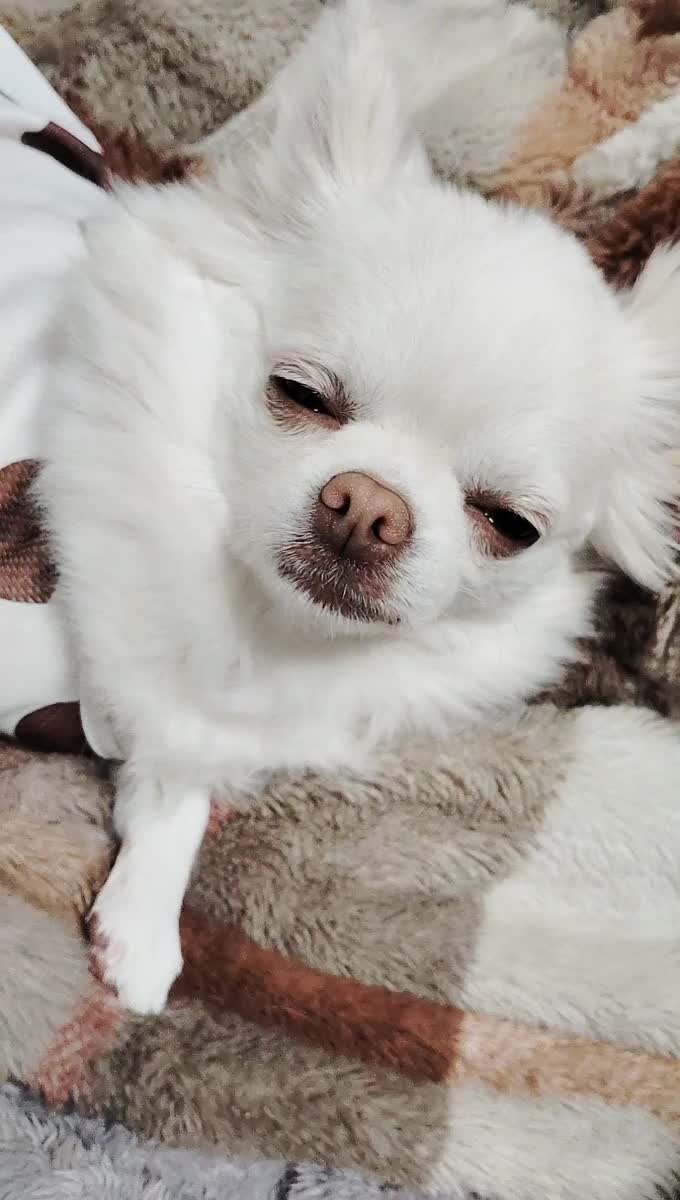 😪ねむねむ😪