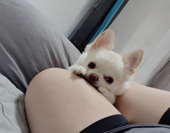 明日｜写メ日記｜水口｜鶯谷 人妻デリヘル 鶯谷人妻城