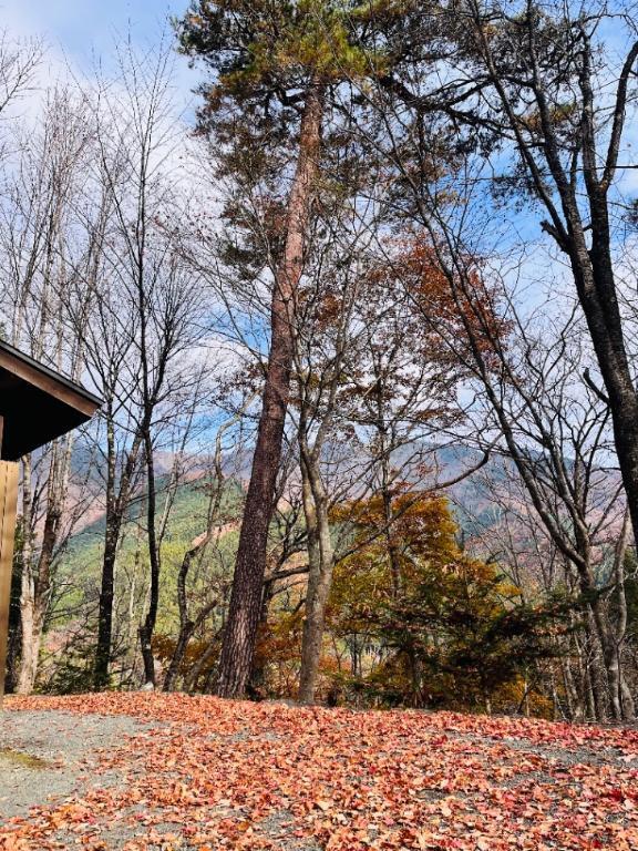 たび月刊｜写メ日記｜松永｜鶯谷 人妻デリヘル 鶯谷人妻城