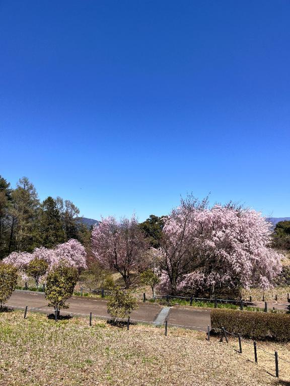 松永｜写メ日記｜松永｜鶯谷 人妻デリヘル 鶯谷人妻城