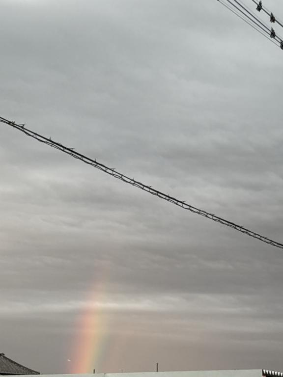 強風💨｜写メ日記｜草野｜鶯谷 人妻デリヘル 鶯谷人妻城