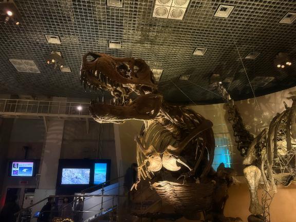 お休みの日｜写メ日記｜安藤｜鶯谷 人妻デリヘル 鶯谷人妻城