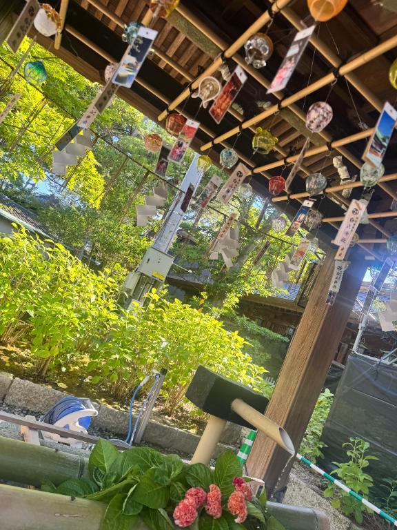 久しぶりに｜写メ日記｜笹原｜鶯谷 人妻デリヘル 鶯谷人妻城