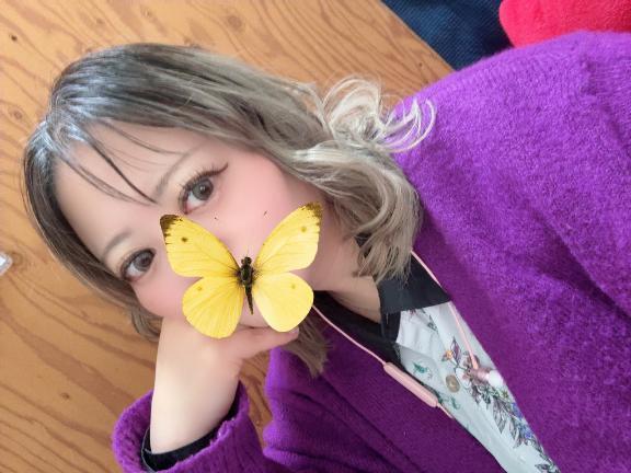 レア出勤中｜写メ日記｜福島｜鶯谷 人妻デリヘル 鶯谷人妻城