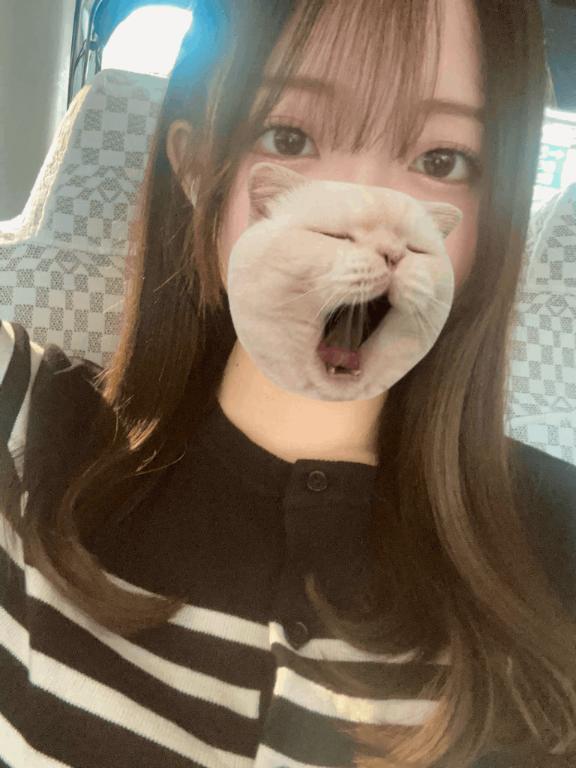 しゅっきーん🚗
