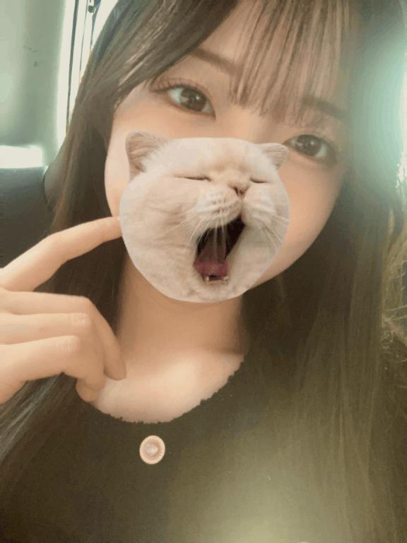 しゅっきん🚗